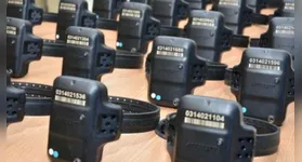 Projeto aprovado no Senado altera a Lei Maria da Penha e permite que delegados determinem o monitoramento eletrônico em casos de risco iminente.