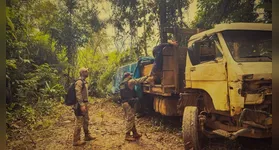 Uma operação integrada de combate a crimes ambientais foi deflagrada nesta sexta-feira (17)