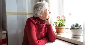 O Pará passa por uma mudança silenciosa, mas profunda, em sua estrutura social.