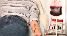 A Fundação Hemopa realizou uma grande mobilização no último fim de semana (28 e 29 de março), resultando na coleta de 701 bolsas de sangue.