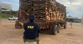 Segundo a PRF, a ausência do DOF configura crime ambiental