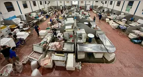 Para evitar extrapolações de preços, a Prefeitura de Belém realizará fiscalizações para controlar a saída do pescado que sai da capital a partir do dia 23 próximo.