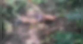 Corpo encontrado em Marituba