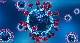 Mesmo com os novos registros, ainda não há motivo para alarme.