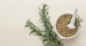 Anvisa encontrou irregularidades nos produtos