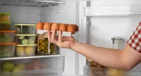 A temperatura ideal de uma geladeira deve ficar abaixo de 5 °C para garantir a conservação adequada dos alimentos.