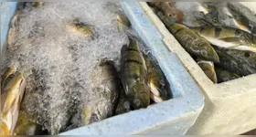 A recomendação é verificar se o produto está sob refrigeração adequada, observar as características de frescor e dar preferência a itens com selo de inspeção (SIM, SIE ou SIF) que garantem a procedência e a segurança dos alimentos.