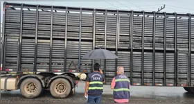 Já nos dias 18 e 19, agentes da Secretaria de Estado da Fazenda do Pará (Sefa) flagraram irregularidades que somaram mais de R$ 1 milhão em mercadorias retidas.