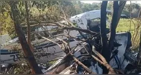 Relatórios preliminares apontam que o motor esquerdo parou de funcionar durante o voo, o que causou a queda.