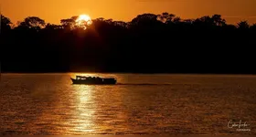 Exposição conta com curadoria de Thaisa Souza.