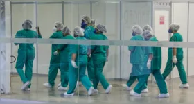 Menos de quinze dias após o registro do primeiro caso no Brasil, a Organização Mundial da Saúde declarou a doença como pandemia.