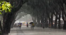 Recomendação é evitar sair de casa sem necessidade durante tempestade.