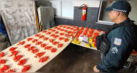 Parte dos entorpecentes apreendido pela PM