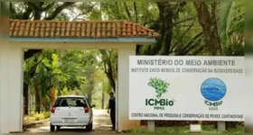 ICMBio quer montar equipe de brigadistas