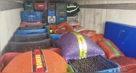 Cerca de 43 toneladas de açai apreendidos