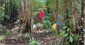 Partes do corpo encontrado no meio do mato