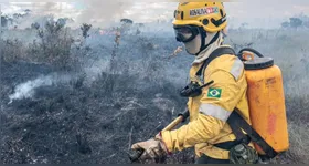 Ibama diz como será selegação de brigadistas temporários para combater incêndios