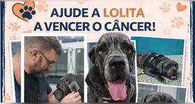 Corrente do bem ganha força nas redes sociais