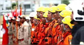 São 113 vagas para brigadistas