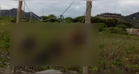 Junto aos restos mortais, os suspeitos deixaram uma mensagem escrita em uma tábua de madeira com um aviso claro de ameaça.