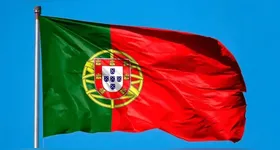 Uma pesquisa realizada às vésperas do primeiro turno mostrava que Seguro derrotaria Ventura por 49% a 29% num eventual segundo turno.