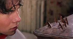 O Manejo Integrado de Pragas (MIP) não depende apenas de produtos químicos. A estratégia reúne práticas que transformam o ambiente em um local hostil à sobrevivência desses insetos.