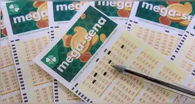 Após o sorteio, o apostador pode verificar se ganhou pelas plataformas digitais.