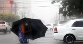 A maior parte das chuvas se concentra entre o final da tarde e as primeiras horas da noite, tanto em Belém quanto no distrito de Mosqueiro.