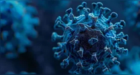 Para evitar a propagação, os profissionais de saúde recomendam que qualquer pessoa que tenha sido exposta ou apresente sintomas busque orientação médica.