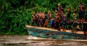 Com mais de dez anos de experiência, Nagano desenvolveu uma carreira profundamente ligada à Amazônia.