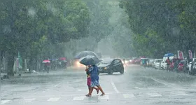 INMET também alerta para riscos de quedas de árvores, danos a plantações e possíveis cortes no fornecimento de energia elétrica.