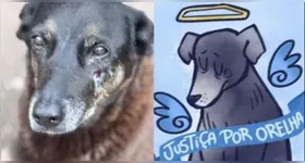 Da folia ao protesto em nome do cão Orelha