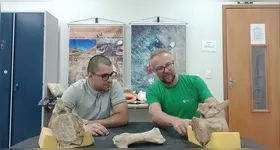 Foram encontrados ossos da perna, entre os quais um fêmur de aproximadamente 1,5 metro, do braço, da bacia, além de partes do pé e de costelas.