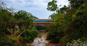 A composição da Estrada de Ferro Carajás corta a densa vegetação amazônica; registro faz parte das 200 imagens que compõem a obra.