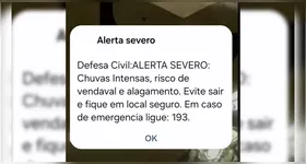 O serviço gratuito da Defesa Civil envia notificações diretamente para celulares via SMS ou WhatsApp.