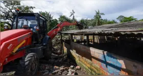 Prefeitura de Belém remove chiqueiro irregular no canal do Mata Fome e intensifica ações contra alagamentos no Tapanã após chuvas históricas.