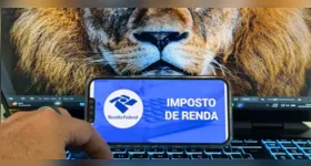 A consulta pode ser feita na página da Receita Federal na internet.