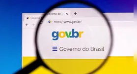 Interface de site falso que simula a página de login do sistema Gov.br para capturar dados de usuários.