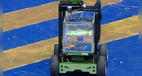 O peixe dourado Blub dentro de seu aquário móvel durante o desafio que garantiu o recorde mundial em Milão.