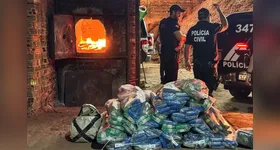 Polícia Civil apreende drogas no Pará.