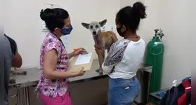 As novas estruturas integram o pacote de investimentos do município na área de bem-estar animal.