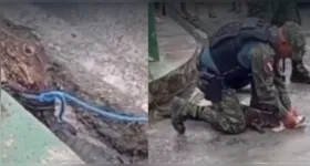 Depois de imobilizado, o jacaré foi colocado na viatura da equipe ambiental e encaminhado a um local apropriado.