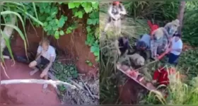 Buscas foram conduzidas pelo 33º Grupamento de Bombeiros Militar e se concentraram em uma região acidentada, cercada por mata densa e córregos.