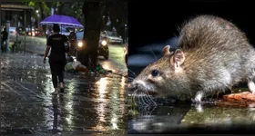 População precisa ter cuidado com os alagamentos
