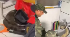 Especialistas recomendam que, ao avistar qualquer cobra ou animal semelhantes, os moradores devem manter distância e chamar imediatamente as autoridades competentes para o resgate adequado.