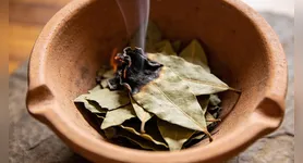 Folhas de louro queimadas ganha espaço como ritual de bem-estar