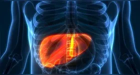 Saiba os 7 piores alimentos que causam gordura no fígado.