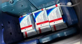 Disponibilizado pela Secretaria Municipal de Saúde (Sesma), o imunizante protege contra formas graves de doenças respiratórias, especialmente a bronquiolite.