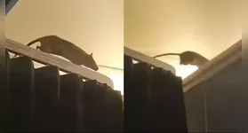 Apesar do susto, a companhia aérea buscou minimizar o impacto do episódio.