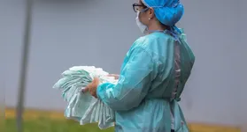 Esta variante representa uma alteração genética da influenza A (H3N2), mas não constitui um agente patológico inédito.